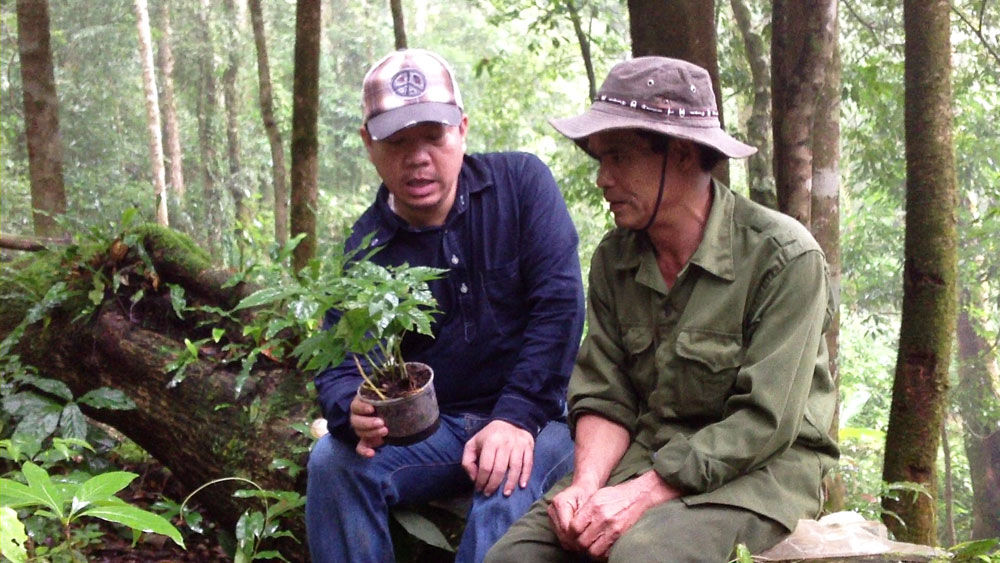 PGS, TS. Dương Tấn Nhựt trò chuyện về cây sâm Ngọc Linh 4 năm tuổi với ông A Hình (người chăm sóc vườn sâm Ngọc Linh của VSHTN) trên đỉnh núi Ngọc Linh.