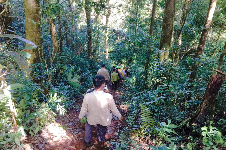 Lãnh đạo huyện Lạc Dương và các lực lượng chức năng trong một đợt đi kiểm tra rừng