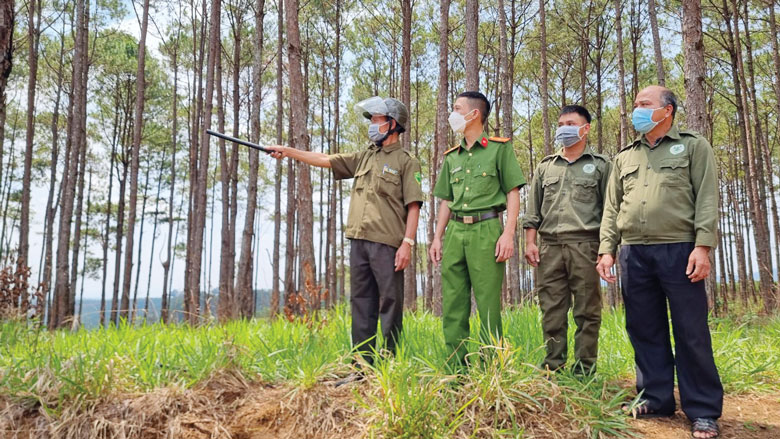 Các thành viên của mô hình và lực lượng Công an xã B’Lá phối hợp tuần tra, kiểm tra, kiểm soát để ngăn chặn những hành vi phá rừng, lấn chiếm đất rừng