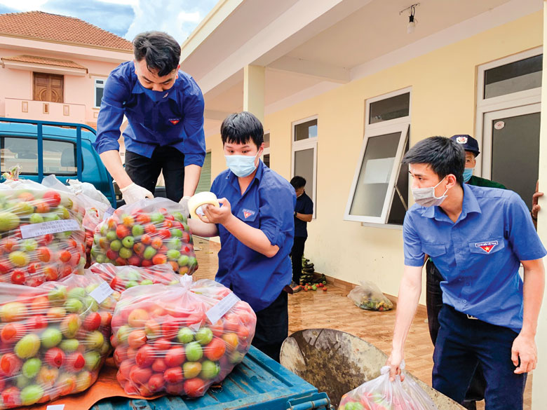 Các đội thanh niên tình nguyện huyện Di Linh tham gia vận chuyển hàng hóa, nhu yếu phẩm, nông sản cho “chuyến xe yêu thương hướng về Thành phố mang tên Bác”