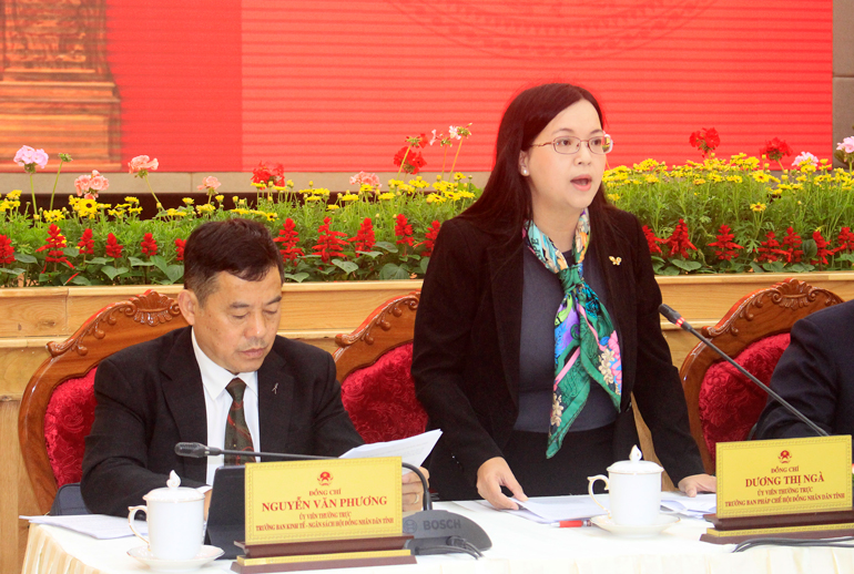 Bà Dương Thị Ngà - Ủy viên Thường trực, Trưởng Ban Pháp chế nêu yêu cầu giải trình