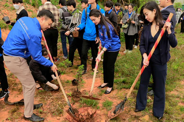 Sinh viên Trường Đại học Đà Lạt ra quân trồng cây xanh