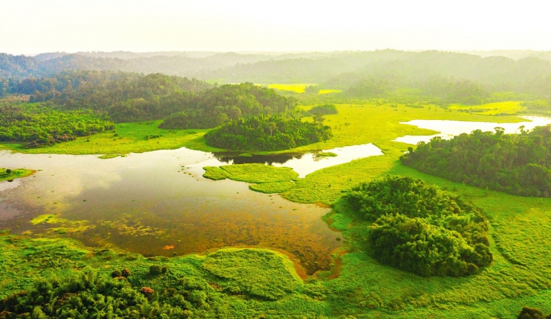 Vườn Quốc gia Cát Tiên tiến tới Danh lục Xanh