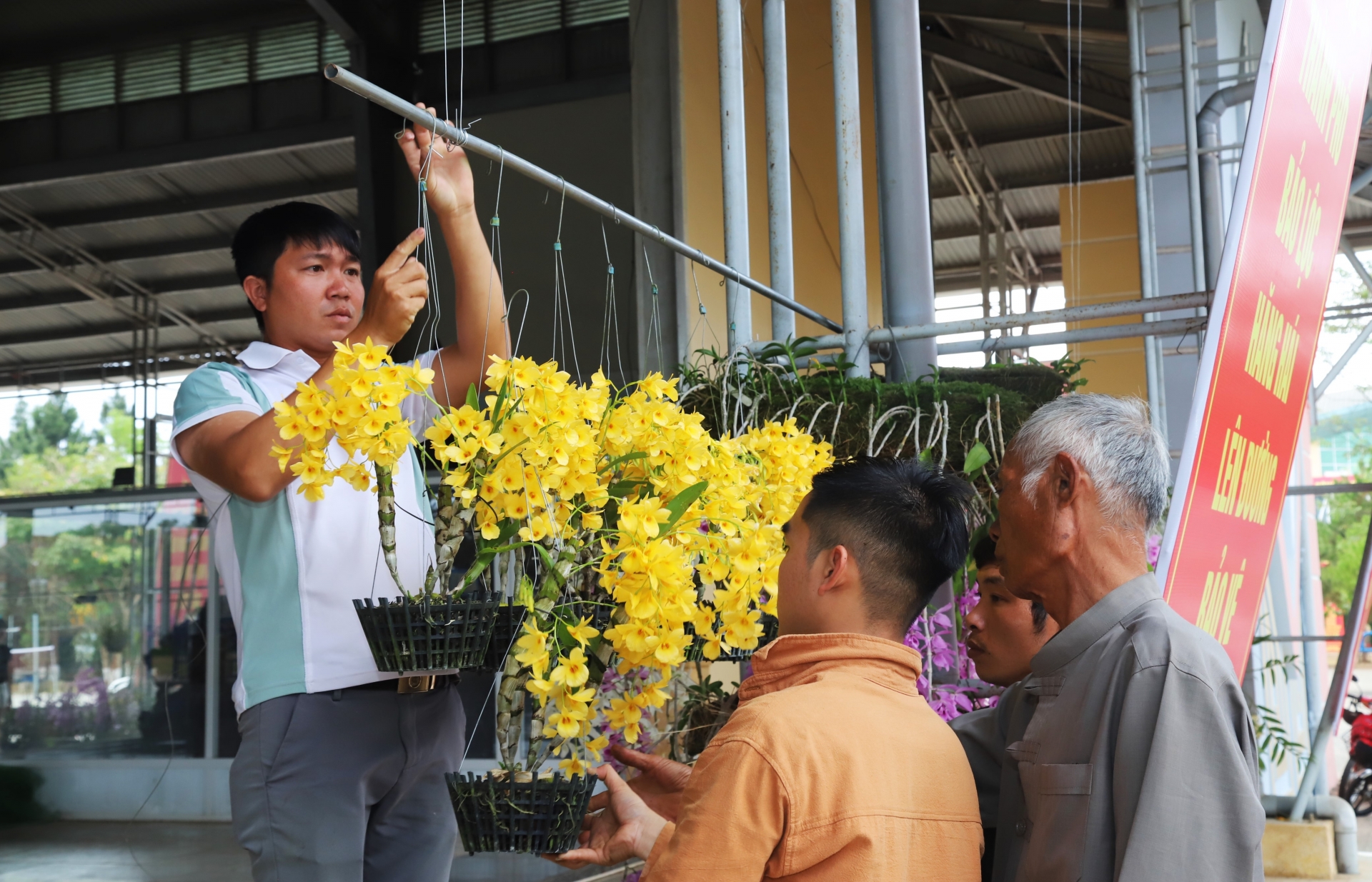 Hội thi hoa lan TP Bảo Lộc quy tụ  hơn 1.000 tác phẩm lan rừng độc đáo