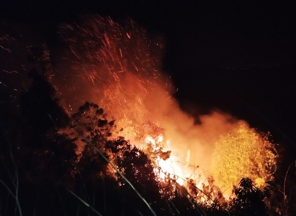 Bảo Lộc: Lập đoàn kiểm tra sau nhiều vụ cháy rừng, vườn rẫy liên tiếp