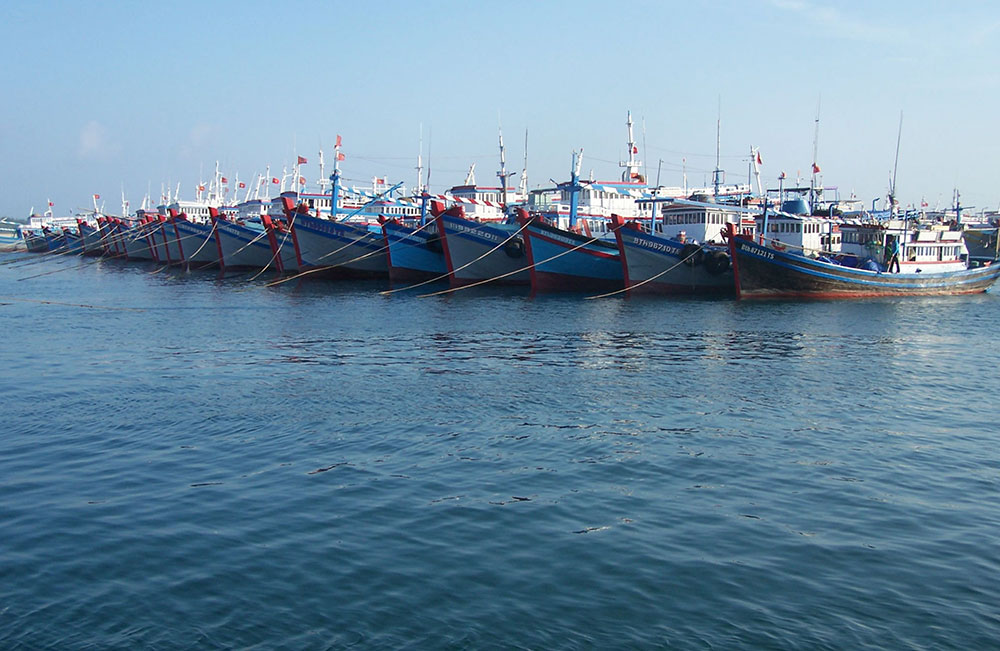 Cảng Phú Quý - Trung tâm hậu cần nghề cá