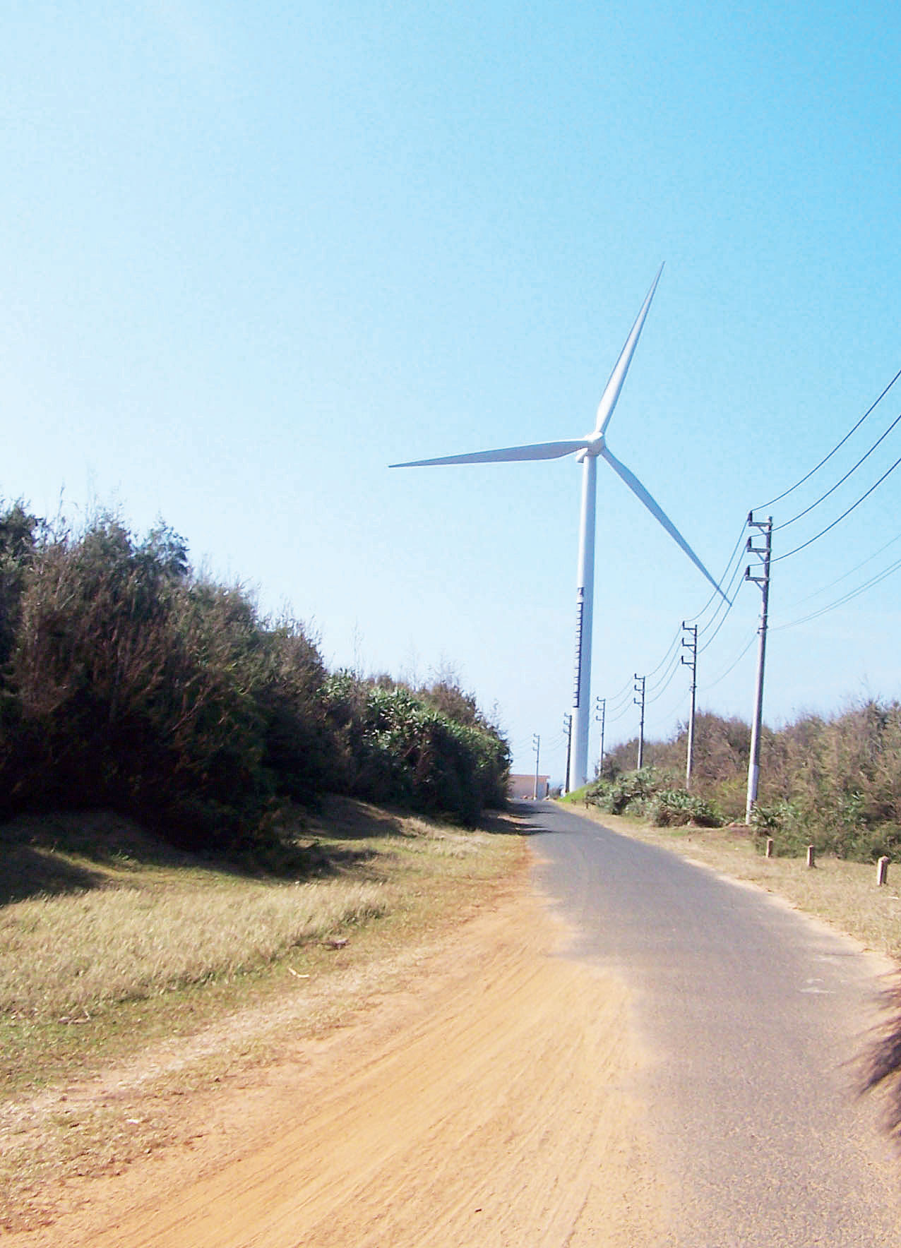 Điện gió được sản xuất trên đảo Phú Quý