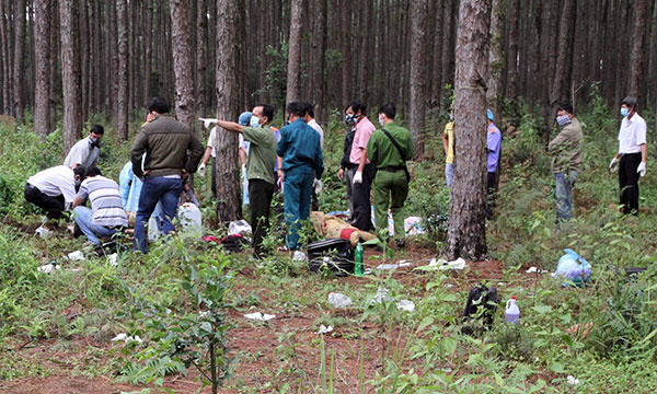Phát hiện 1 thi thể bị chôn lấp trong rừng thông