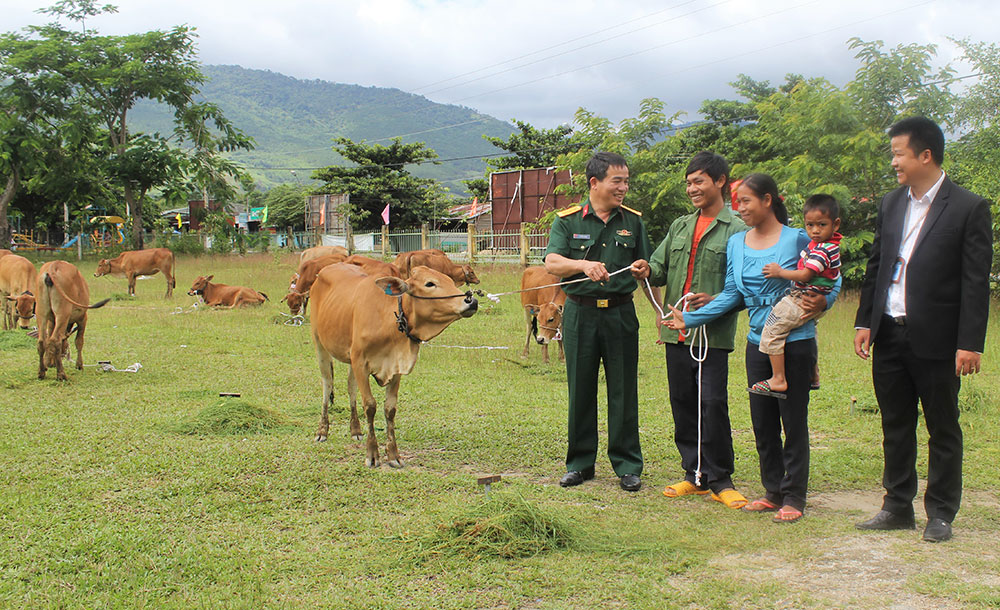 Người dân nhận bò giống do đại diện Viettel Lâm Đồng trao tặng