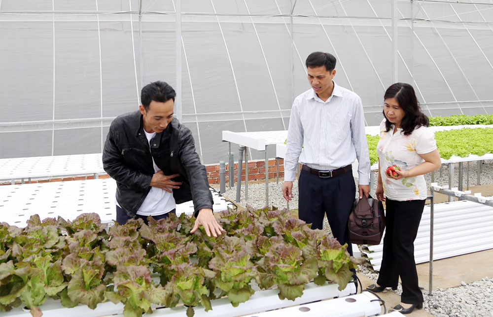 Anh Dương hướng dẫn du khách về hệ thống trồng rau thủy canh. Ảnh: L.Hoa