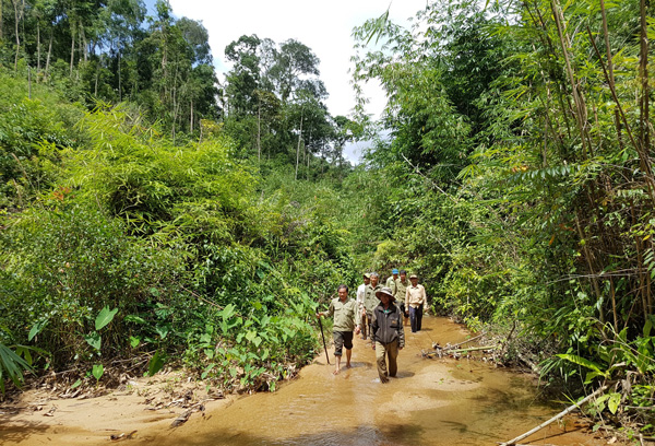 Cơ quan chức năng và người dân xã Lộc Tân, huyện Bảo Lâm cùng tuần tra giữ rừng. Ảnh Khánh Phúc