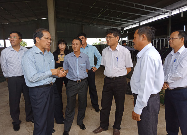 Đoàn thăm, trao đổi với ông Nguyễn Minh Cúc về mô hình nuôi bò sữa