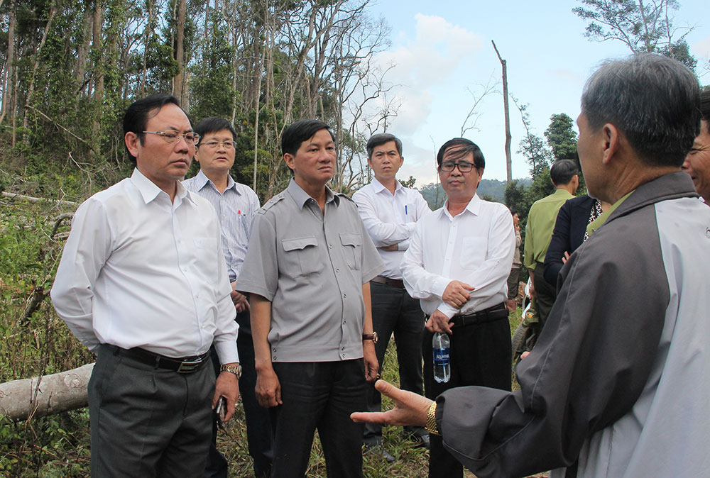 Lãnh đạo tỉnh kiểm tra công tác quản lý, bảo vệ rừng tại huyện Lâm Hà. Ảnh: Ngọc Ngà