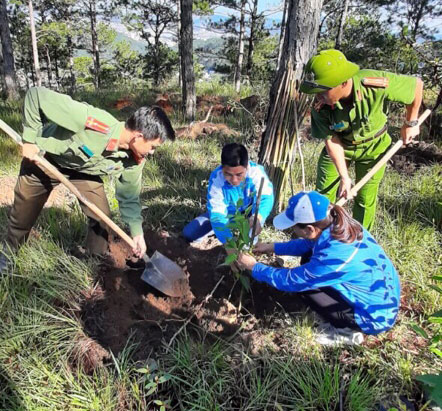 Các đoàn viên, thanh niên trồng thông và mai anh đào tại Trại Tạm giam Công an tỉnh.