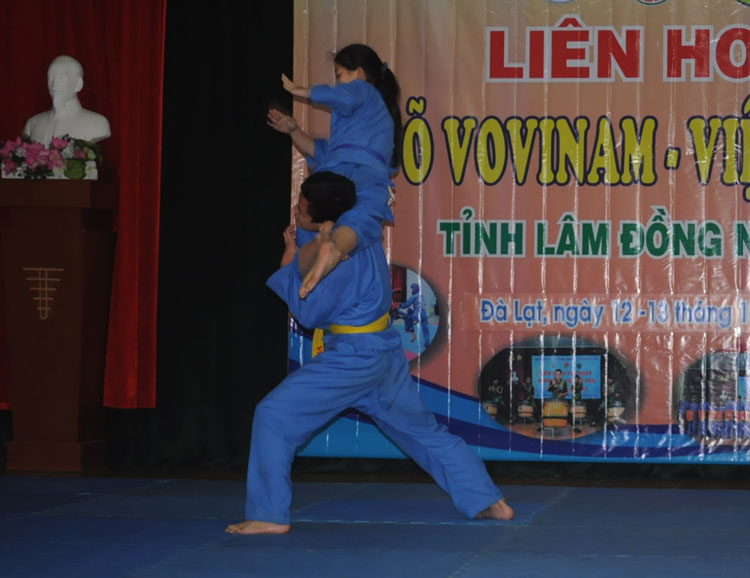 Hơn 120 vận động viên tham gia Liên hoan Vovinam - Việt võ đạo