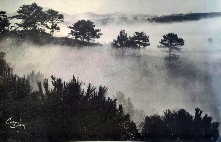 Sương về thung lũng. Ảnh: Nguyễn Cao Ðàm