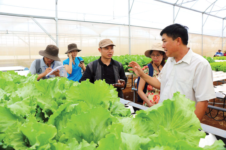 Ông Nguyễn Hồng Phong - Giám đốc Công ty TNHH Nông sản Phong Thúy đang giới thiệu với đoàn nông dân các nước Đông Nam Á khi tham quan trang trại