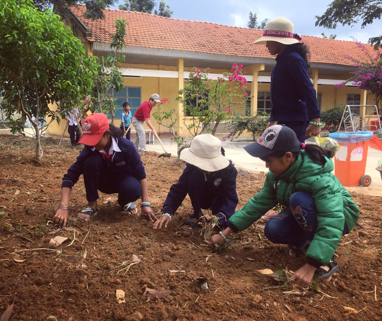 Học sinh tham gia làm vệ sinh, trồng hoa trong sân trường