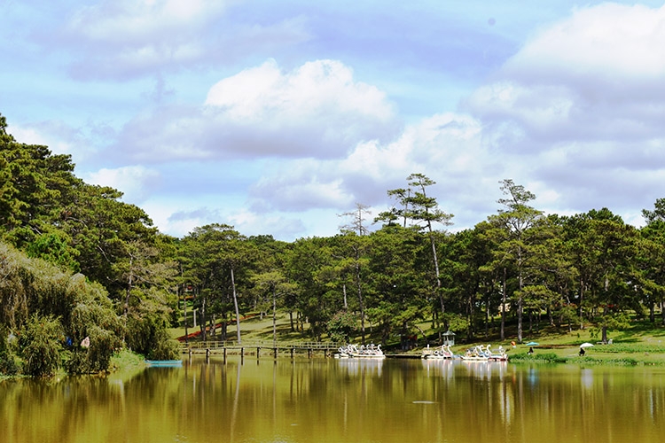 Toàn tỉnh Lâm Đồng hiện có 228 doanh nghiệp đã được quyết định thuê 18.656 ha rừng để đầu tư dự án