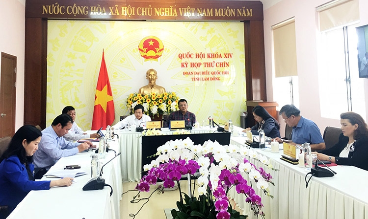 Các đại biểu tham dự Kỳ họp thứ 9, Quốc hội khóa XIV tại điểm cầu Lâm Đồng