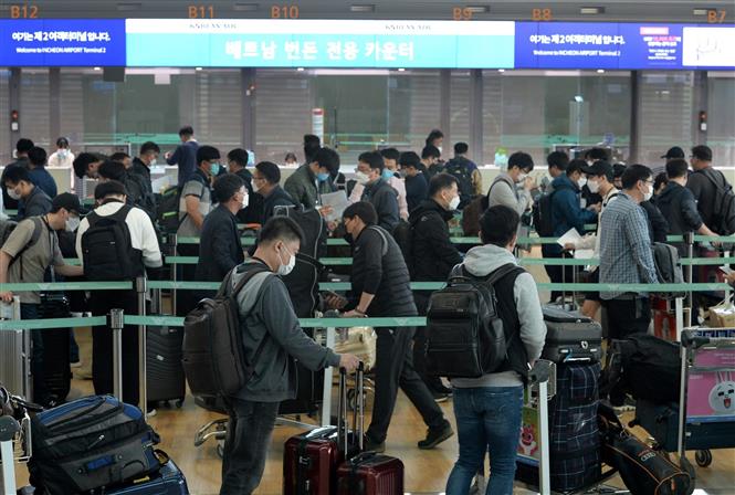 Hành khách chờ đợi tại quầy làm thủ tục ở sân bay Incheon, Hàn Quốc ngày 29/4/2020