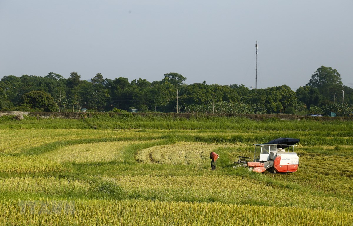 Cơ khí nông nghiệp: Việt Nam đang dần tự đánh mất vị thế