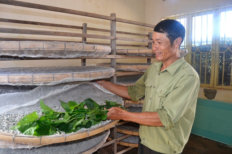 Trồng dâu nuôi tằm - ươm tơ dệt lụa là định hướng phát triển bền vững của thị trấn Nam Ban