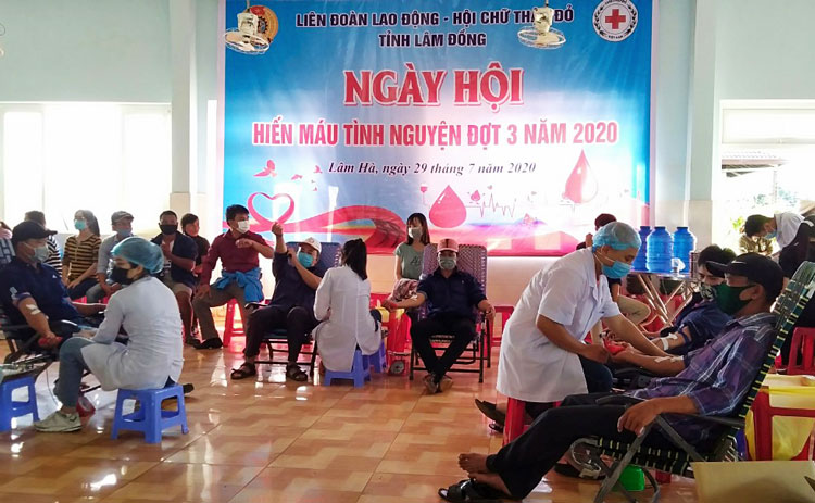 Đoàn viên, CNLĐ Công ty TNHH Đà Lạt Hasfarm chi nhánh Lâm Hà tham gia hiến máu tình nguyện
