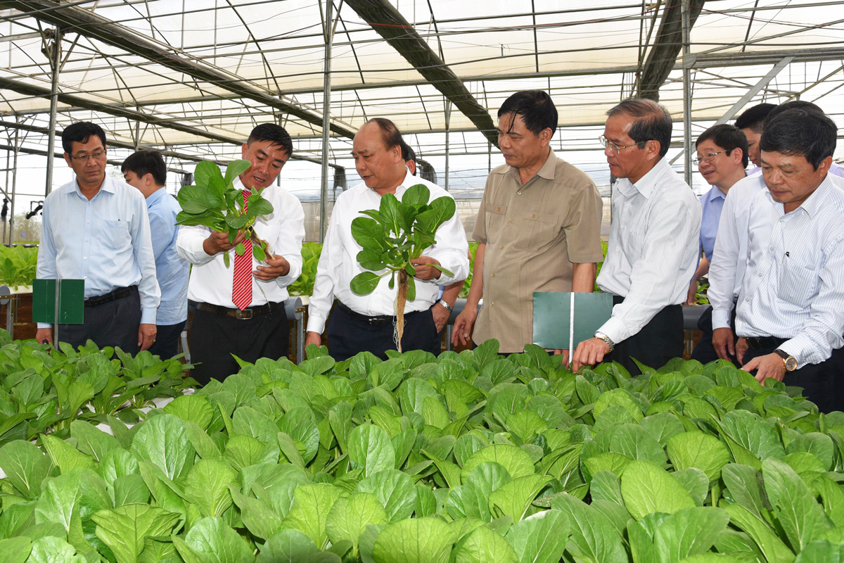 Thủ tướng Nguyễn Xuân Phúc thăm mô hình nông nghiệp công nghệ cao tại Lâm Đồng. Ảnh: Văn Báu