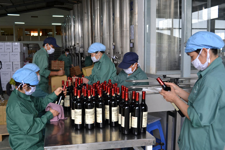 Sản xuất rượu vang tại Công ty Cổ phần Rượu bia Đà Lạt. Ảnh: Văn Báu