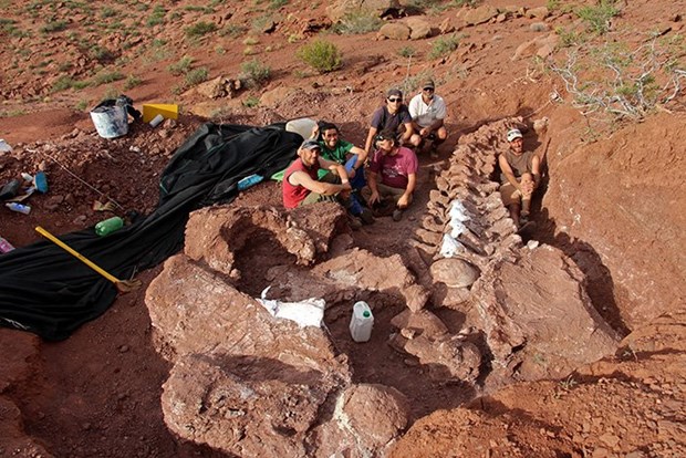 Nhóm các nhà khao cổ bên bộ xương có thể của khủng long Patagotitan mayorum mới đào được