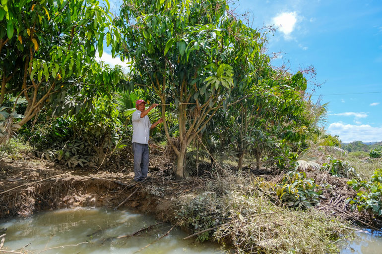 Ông Nguyễn Văn Cư chỉ vị trí nước dâng làm ngập cây trồng trên đất khi thuỷ điện đắp đê quây thi công công trình