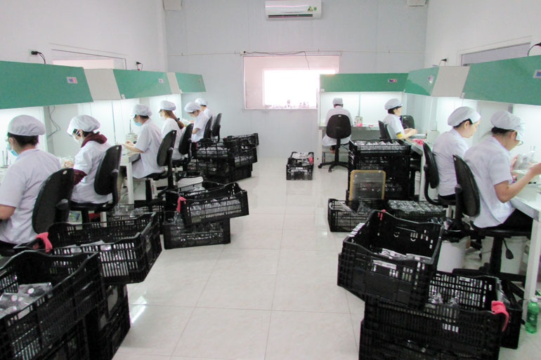 Sản xuất giống hoa cấy mô xuất khẩu tại doanh nghiệp thành viên Hiệp hội Hoa Đà Lạt