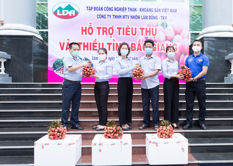 Công ty Nhôm Lâm Đồng chung tay hỗ trợ Bắc Giang tiêu thụ vải thiều