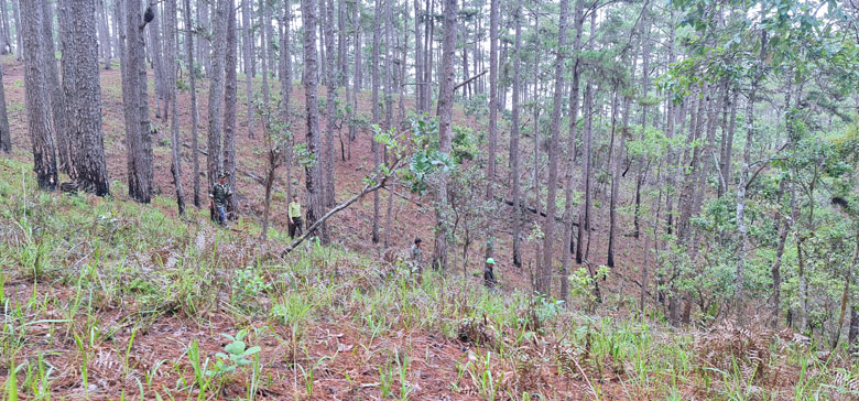 Tuần tra bảo vệ rừng ở vùng ven TP Đà Lạt