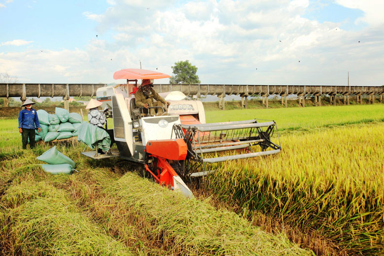 Cát Tiên: Đầu tư thủy lợi phục vụ sản xuất nông nghiệp