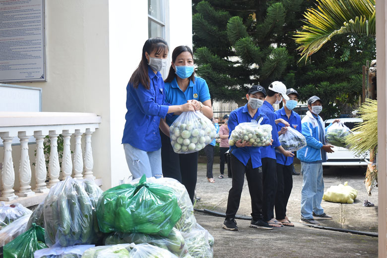 Nhiều loại rau, củ, quả được người dân Lâm Đồng hỗ trợ cho người dân TP Hồ Chí Minh, Bình Dương