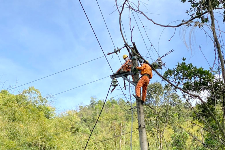 Đam Rông: Đảm bảo hành lang an toàn lưới điện hạ thế