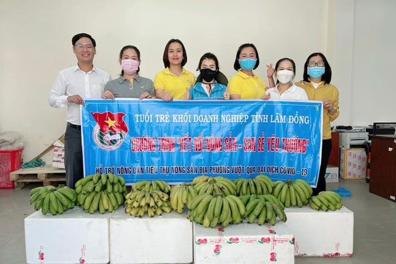 Tuổi trẻ khối doanh nghiệp tỉnh Lâm Đồng hưởng ứng hoạt động “Kết nối tiêu thụ nông sản - san sẻ yêu thương”