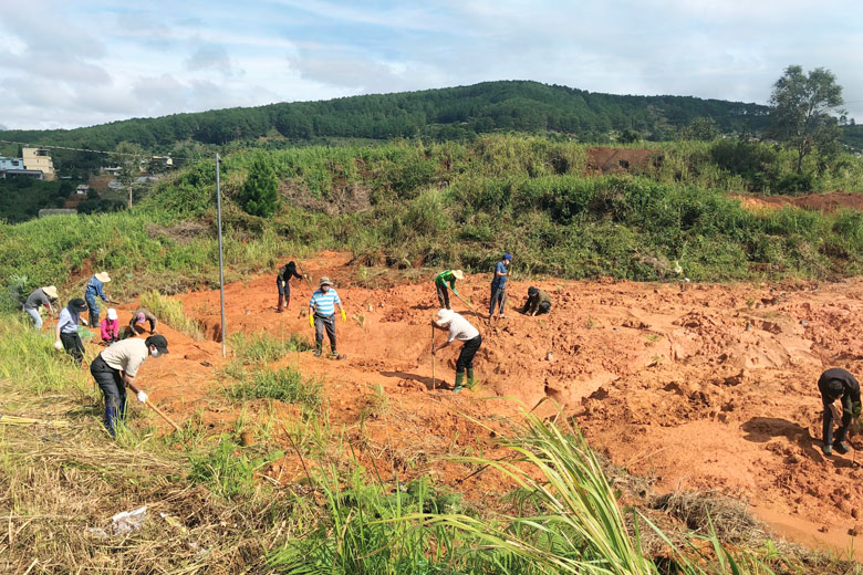 Trung tâm Quản lý công trình thủy lợi trồng mai anh đào tại bãi thải Xuân Sơn