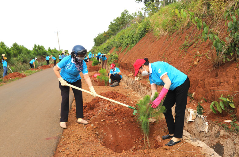 Chị em phụ nữ TP Bảo Lộc hưởng ứng tham gia trồng cây xanh, cây phân tán trên địa bàn