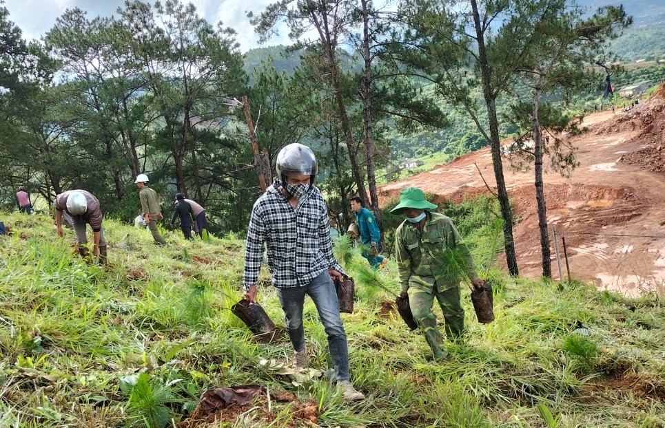 Ngay sau lễ phát động, đông đảo các đoàn viên, thanh niên, Nhân dân thị trấn Nam Ban đã hưởng ứng trồng cây xanh