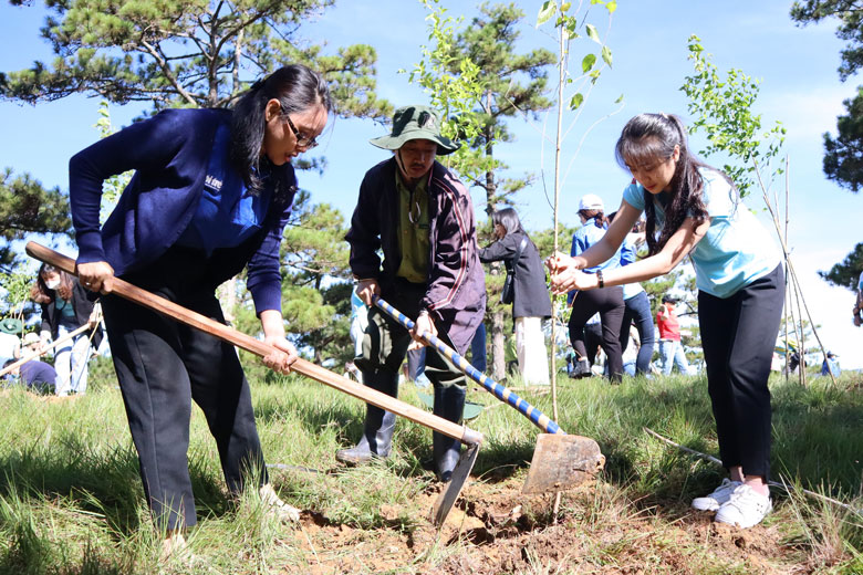 60 cây mai anh đào đã được các nữ sinh thuộc Dự án Mở đường đến tương lai trồng tại đồi Đa Phú