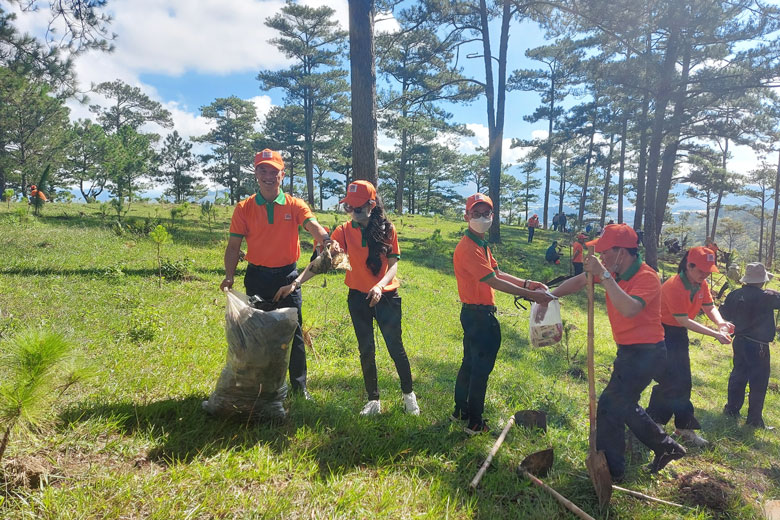Các đơn vị cùng tham gia trồng cây thông trên đồi Đa Phú