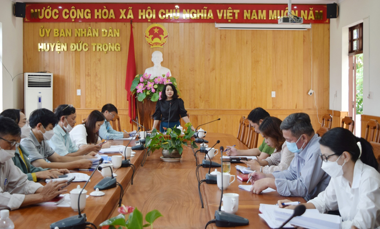 Bà Phạm Thị Thanh Thúy - Phó Chủ tịch UBND huyện, chủ trì hội nghị