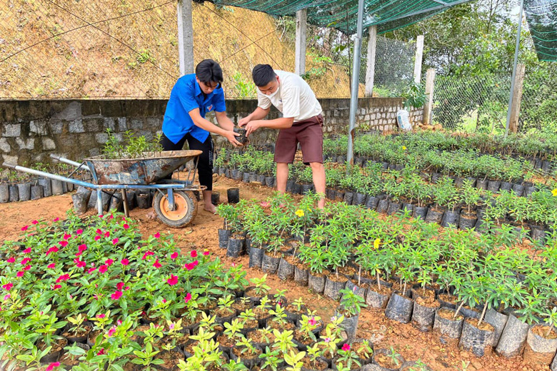 Đoàn viên, thanh niên xã Quốc Oai chăm sóc cây giống tại Vườn ươm thanh niên